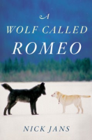 A_wolf_called_Romeo